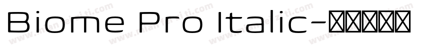 Biome Pro Italic字体转换